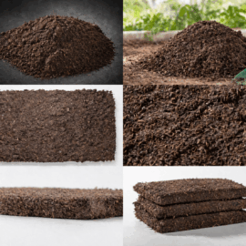High-Quality Mushroom Compost | Nutrient-Rich Organic Soil Conditioner